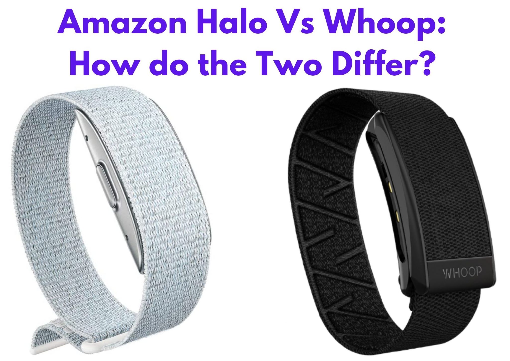 Amazon Halo Vs Whoop 4.0 How Do The Two Differ 2023?