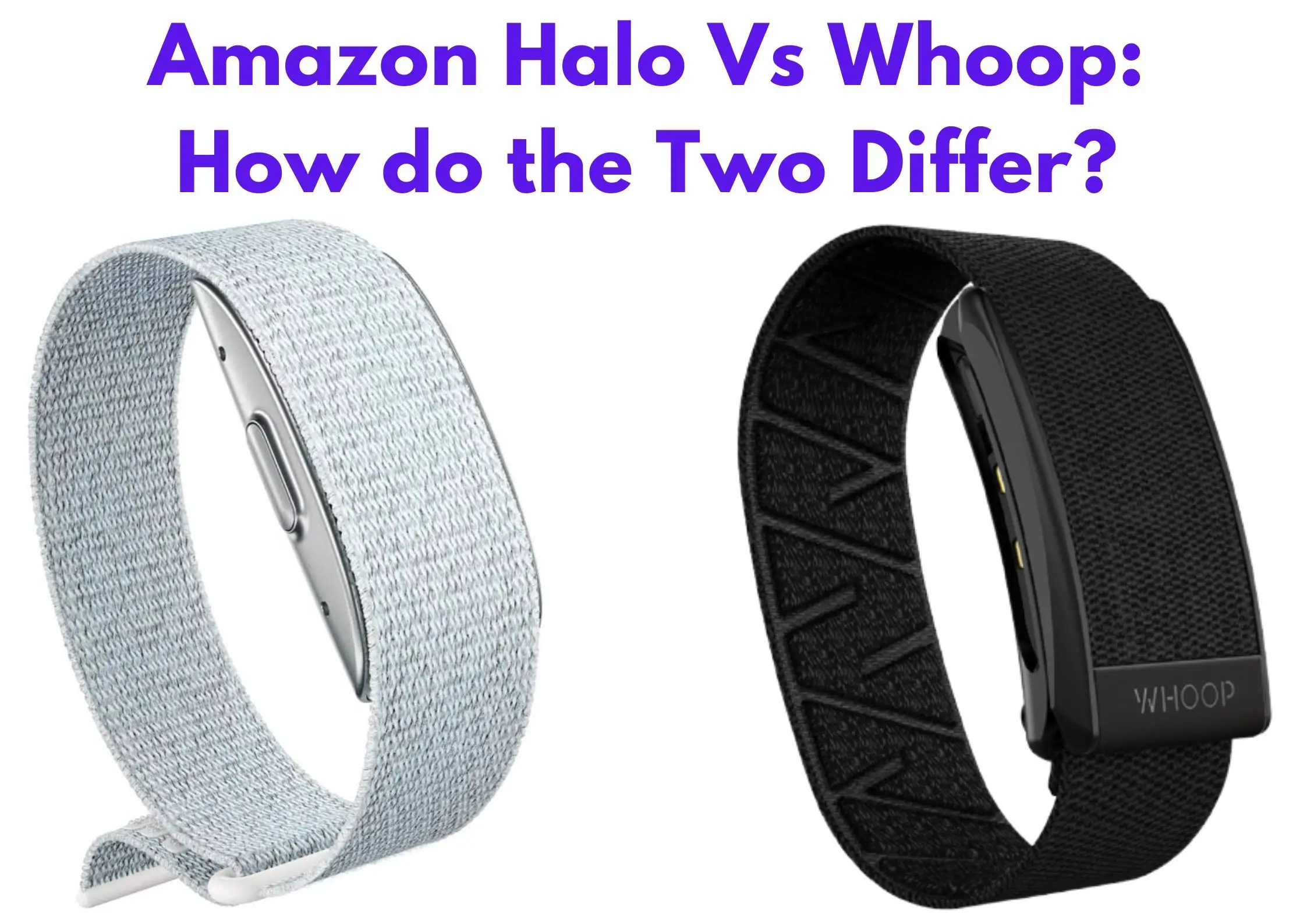 Amazon Halo Vs Whoop: How do the Two Differ?