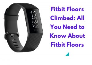 Fitbit Floors Climbed: All You Need to Know About Fitbit Floors