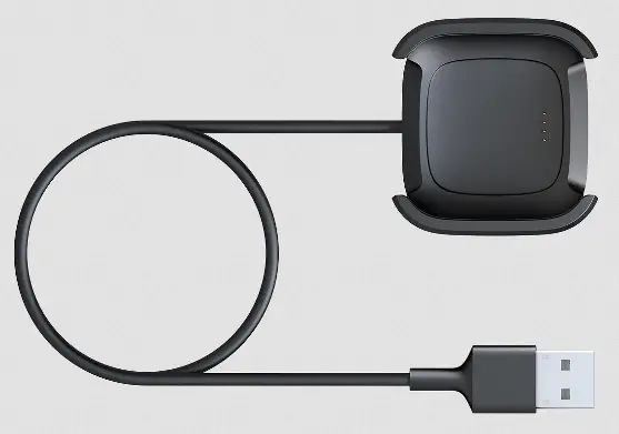 Versa 2 Charging Cable