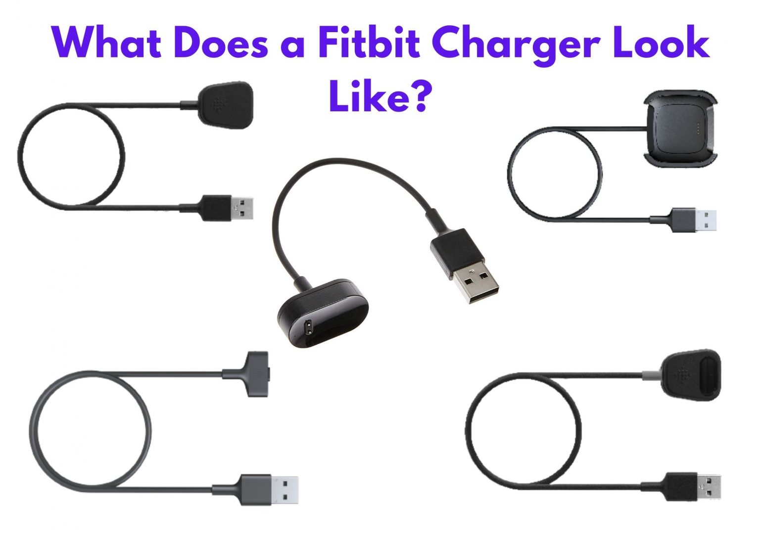 What does the fitbit charger look like 