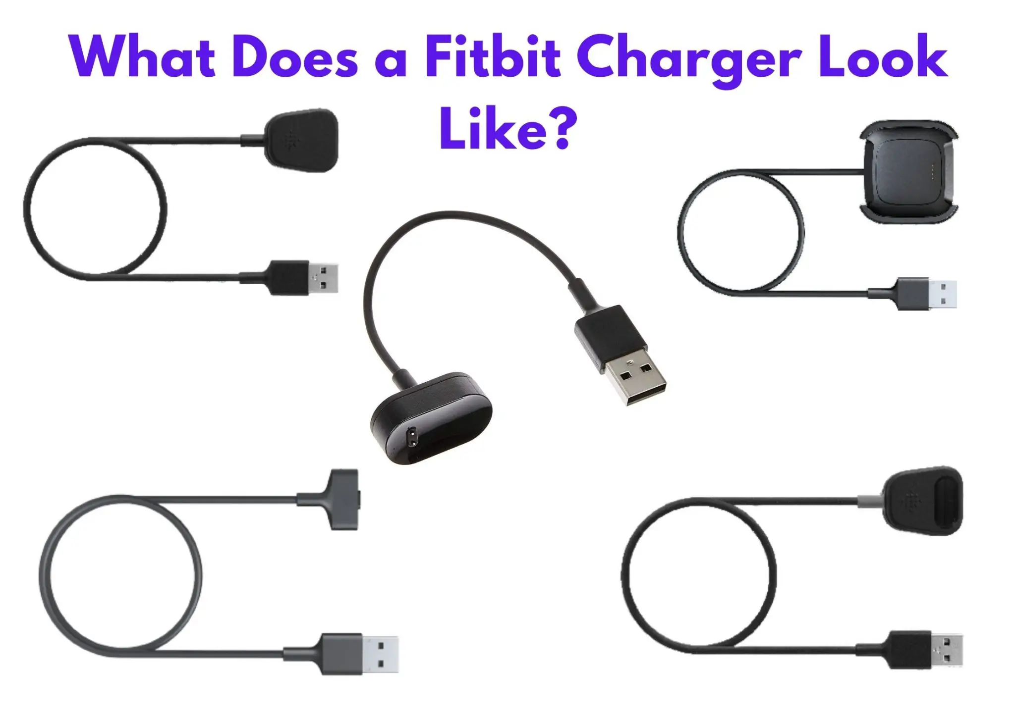 What Does The Fitbit Charger Look Like?