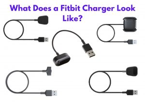 What Does a Fitbit Charger Look Like?