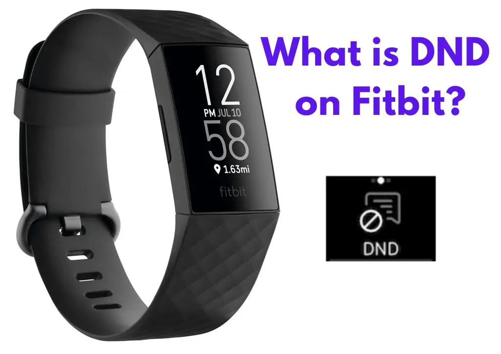 Rennen voorzien Intuïtie What is DND on Fitbit? Do Not Disturb Explained – Smart Body Touch