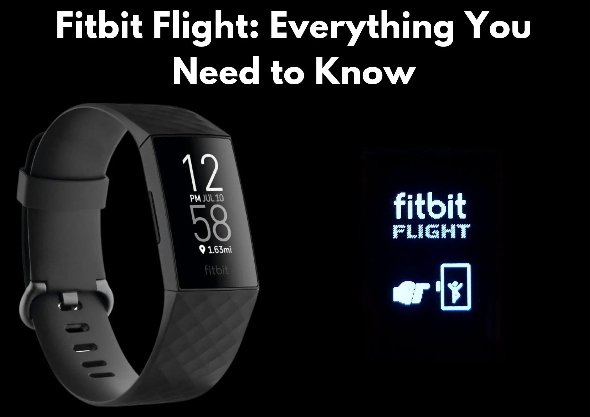 Fitbit Flight Game: All You Need to Know